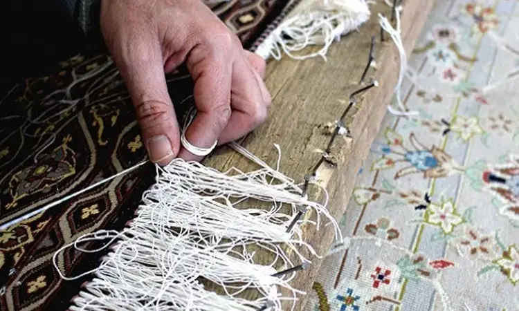 خدمات ریشه زنی در قالیشویی دهکده المپیک